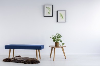 botanic decoration and boar fur in white simple room