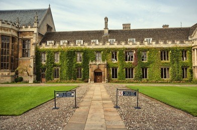 ivy covered wall of trinity college,cambridge, uk