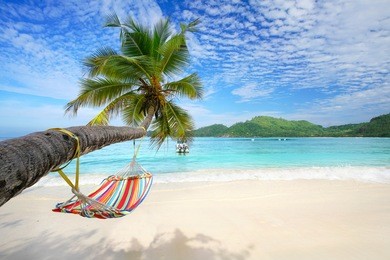 romantic cozy hammock in the shadow of the palm on the tropical beach by the sea              