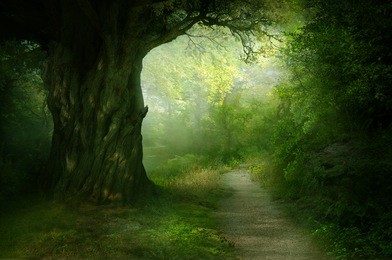 background park outdoor and nature