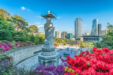 bongeunsa temple during the summer in the gangnam district of seoul, south korea.