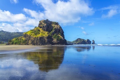 lion rock piha beach auckland new zealand