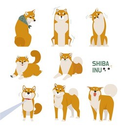 japan dog shiba inu character vector illustration flat design