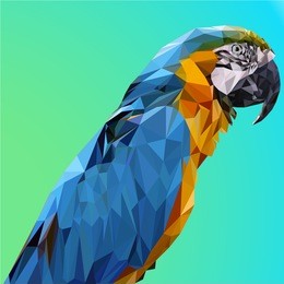 low poly bird. vector low poly, polygonal. colorful low polygon parrot vector illustration
