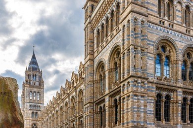 natural history museum in london