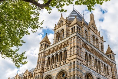 natural history museum in london
