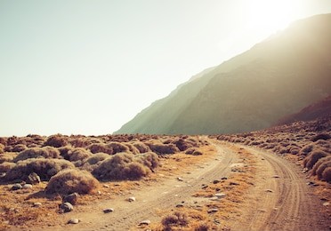 dirt road rally background