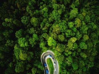 a winding road between tropical forests is visible from the air in north sumatra, indonesia.