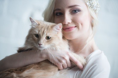 young beautiful bride with a cat in her arms, the morning before the wedding