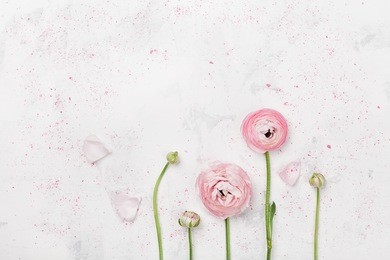 beautiful pink ranunculus flowers on white table top view. floral border in pastel color. wedding mockup in flat lay style.