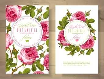 vector botanical vertical banners with garden rose flowers on white background. floral design for natural cosmetics, perfume, health care products. can be used as greeting card, wedding invitation