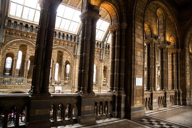 a beautiful interior of the national nature museum in london