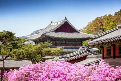 changdeokgung, royal palace in seoul, secret garden