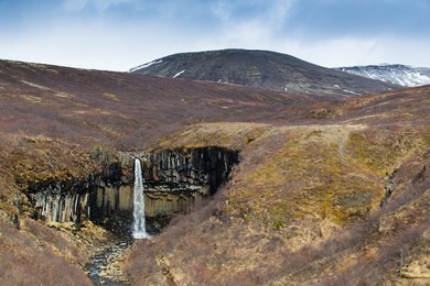 svartifoss black water falls on iceland