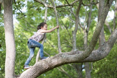 happy little girl climbing a tree