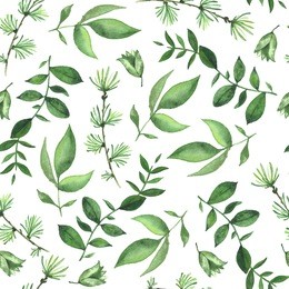 green leaf on white background/ watercolor garden