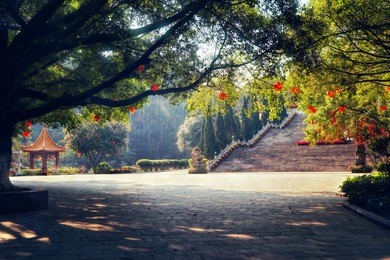                       monastery stairs in china
