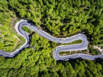 car on winding road trough the forest, transilvania, romania