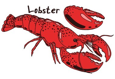 cooked boiled red lobster in a shell and claw. hand drawn isolated illustration set with the inscription on a white background