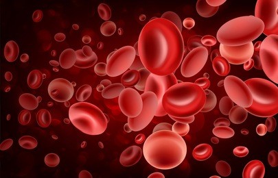 macro streaming red blood cells flowing through artery. vector illustration.