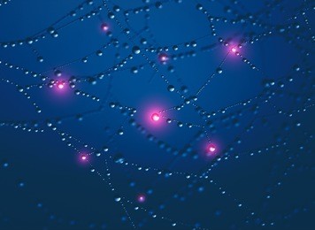 technology concept, natural spider web with waterdrops as an idea of the big data system of digital information