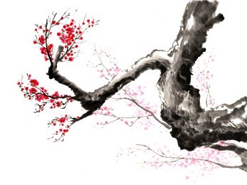 ancient chinese traditional brush handmade ink painting -plum flower