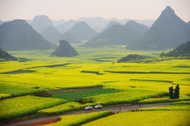 luoping,yunnan,china.