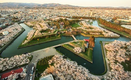 viewpoint tower with cherry blossom at goryokaku fort and park,hakodate, hokkaido, japan