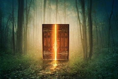 glowing door in the middle of the forest