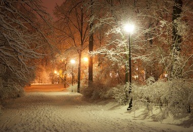 winter alley in park and shining lanterns. night shot.