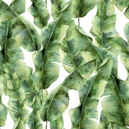 watercolor pattern with banana palm leaves. hand painted exotic greenery branch. tropic plant isolated on white background. botanical illustration. for design, print or background.