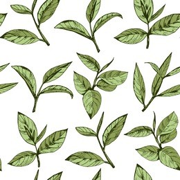 seamless pattern with green tea, hand-drawn leaves and branches of tea