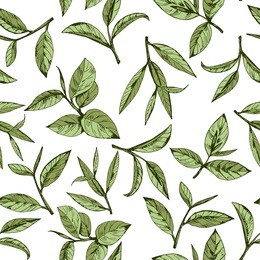 seamless pattern with green tea, hand-drawn leaves and branches of tea