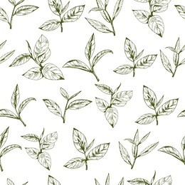 seamless pattern with green tea, hand-drawn leaves and branches of tea