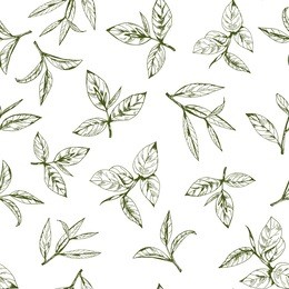 seamless pattern with green tea, hand-drawn leaves and branches of tea