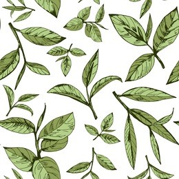 seamless pattern with green tea, hand-drawn leaves and branches of tea
