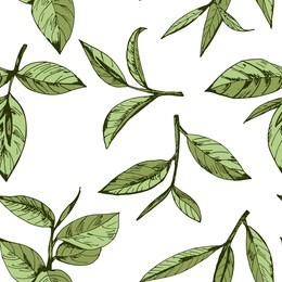 seamless pattern with green tea, hand-drawn leaves and branches of tea