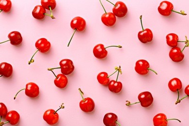cherry pattern. flat lay of cherries on a pink background.top view