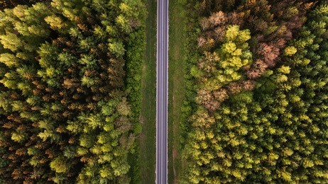 high angle view of a road trough the forest at the sunset with copy space