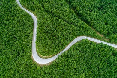 aerial view of a provincial road passing through a forest Î¹n chalkidiki, northern greece
