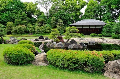 traditional japanese garden - nijo castle (nijojo) - kyoto