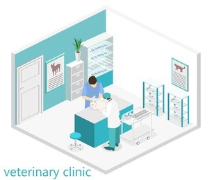 flat 3d illustration isometric interior of veterinary clinic. the veterinarian treats the pet