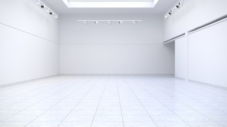 empty exhibition hall. bright and spacious room. 3d render.