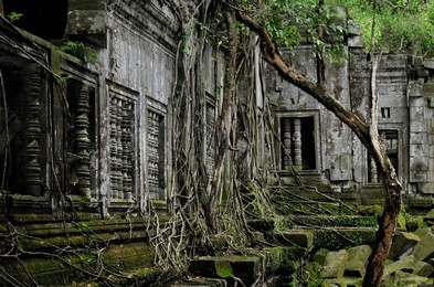 beng mealea is a temple in the angkor wat style located 40 km east of the main group of temples at angkor, cambodia.