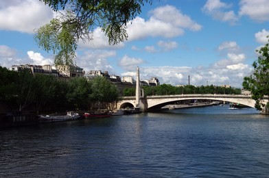 bridge above the seine river in paris - 2