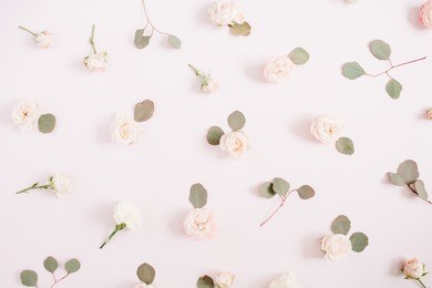 flowers pattern texture made of beige roses, eucalyptus branches on pale pastel pink background. flat lay, top view. valentine's background. floral texture background.