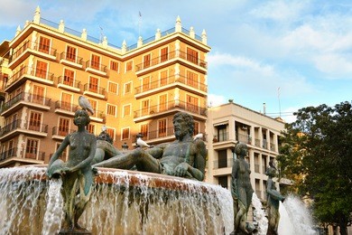 turia fountain in the plaza de la virgen in valencia ,spain