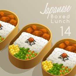 japanese boxed lunch set : vector illustration