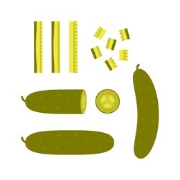 sliced pieces of pickled cucumber. concept of blanks and pickles. flat vector illustration isolated on white background