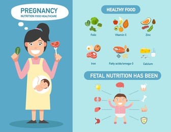 pregnancy nutrition food healthcare infographics,vector illustration.